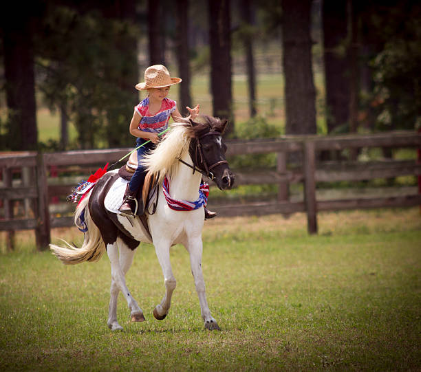istock Come Pony Lets have a Little Fun 537229418
