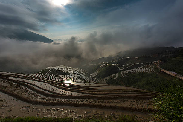 Rice paddy in Longsheng Rice paddy in Longsheng longji tetian stock pictures, royalty-free photos & images