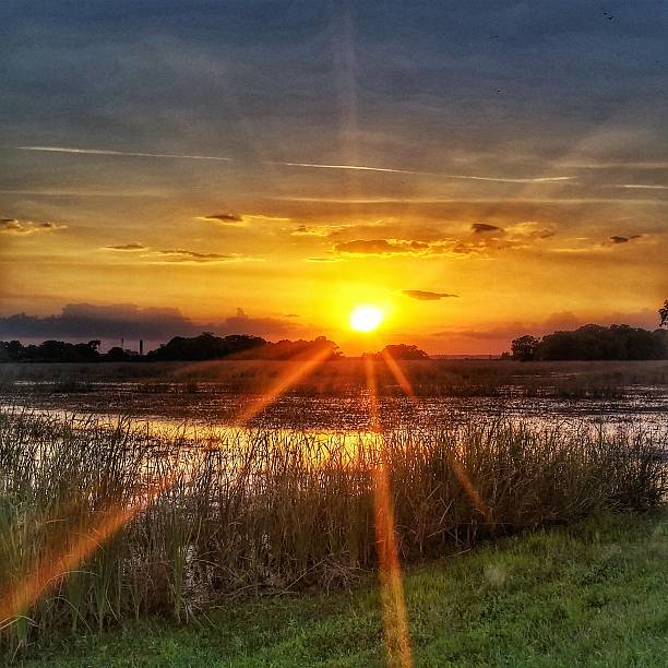 istock Savannah National Wildlife Refuge, Marsh, Sunset, Georgia 537229596