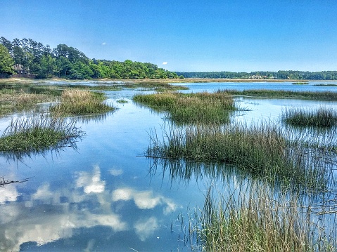 Reflection, Clouds, Blue Sky, Brackish Briny Water, South Carolina