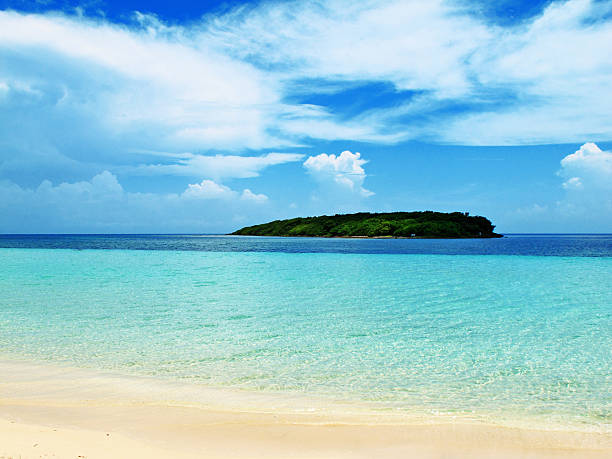 blu spiaggia vieques porto rico - isabella island foto e immagini stock