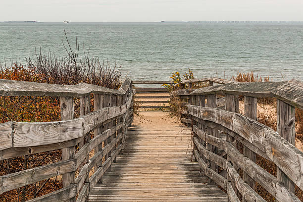 istock Pathway to Beach with Ocean at First Landing State Park 537232764