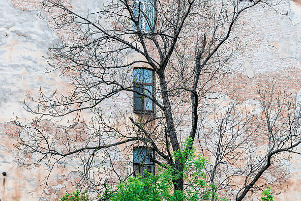 istock Saint Petersburg windows 537233130
