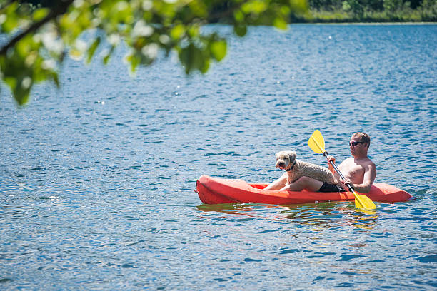 istock Man paddles a kayak with dog in lap 537233712