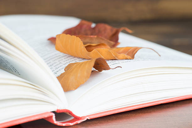 istock Close up of the open book 537235176