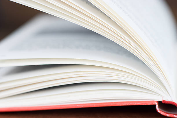 istock Close up of the open book 537235704