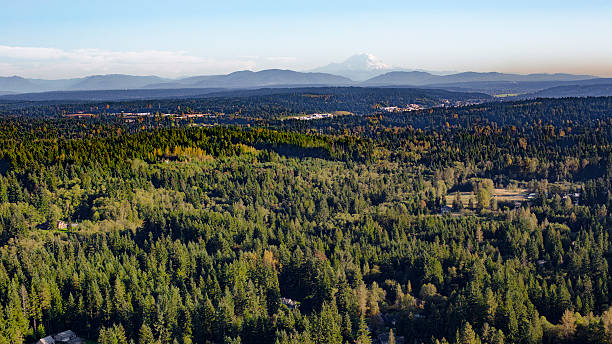 istock Washington State Suburban Forest Mount Rainier Cascade Mountains Backdrop 537237158