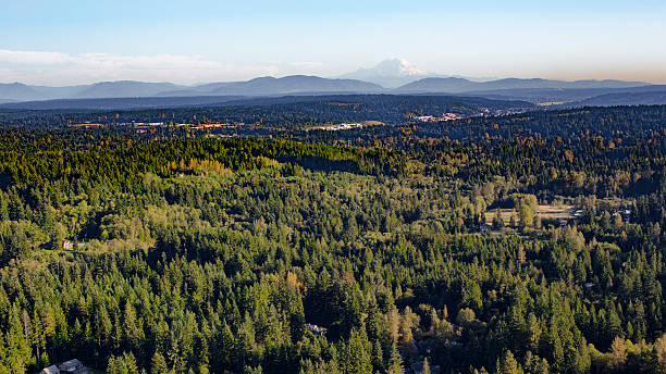 Washington State Suburban Forest Mount Rainier Cascade Mountains Backdrop Bothell Mill Creek, Washington Suburban Forest Aerial - Mount Rainier and Cascade Mountains Backdrop puget sound aerial stock pictures, royalty-free photos & images