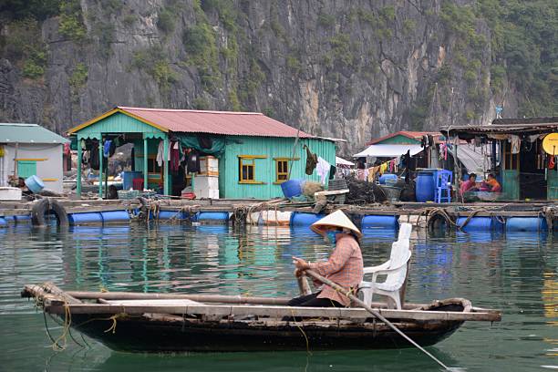 Lan Ha Bay, Vietnam - February 27, 2015: Local woman sailing on wooden canoe with Floating houses in the background at Lan Ha Bay, North Vietnam.