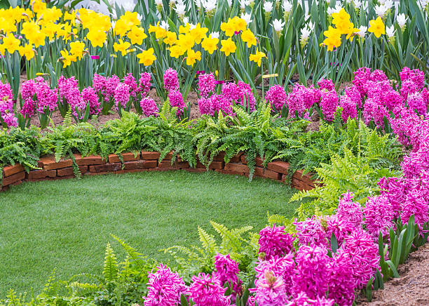 istock Colorful flower in the park. Spring landscape. 537243549