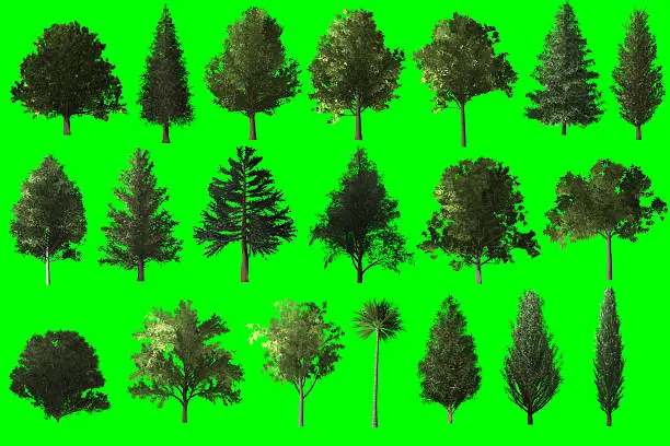 tree set for architecture landscape design, tree object collection isolated on green chroma key screen for CG.