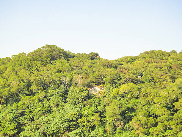 istock lamma island nature. hong kong 537245882