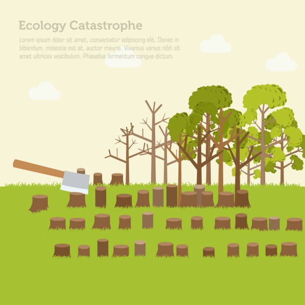 illustrazioni stock, clip art, cartoni animati e icone di tendenza di problema disboscamento illustrazione design sfondo - tree stump tree working environment