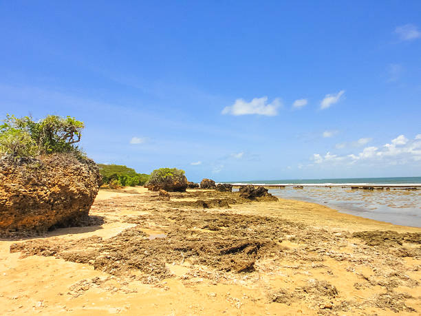 istock manda island beach in kenya near lamu 537247948