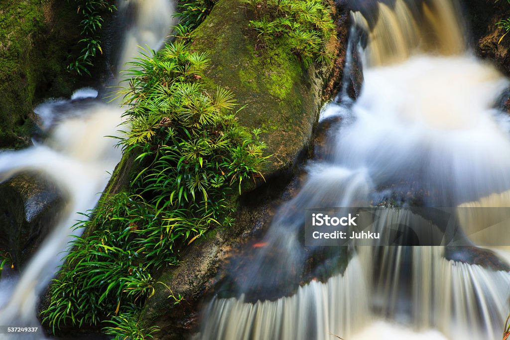 Small waterfall in jungle Small waterfall at the jungle of bako national park in malaysia borneo 2015 Stock Photo