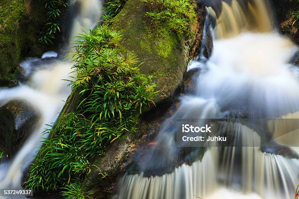 Small Waterfall In Jungle Stock Photo - Download Image Now - 2015, Backgrounds, Beauty In Nature