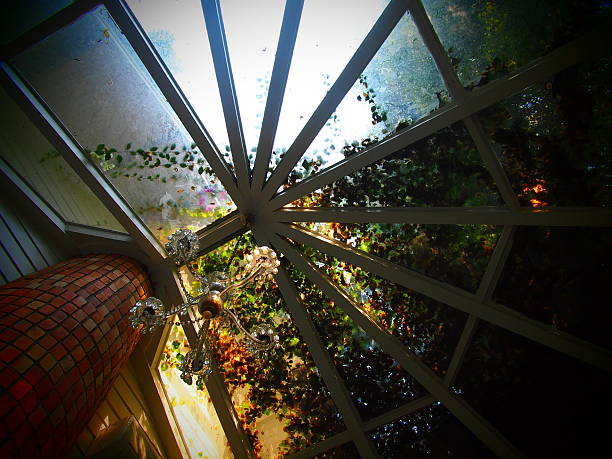 istock green house and chandelier under the tree shade 537249813