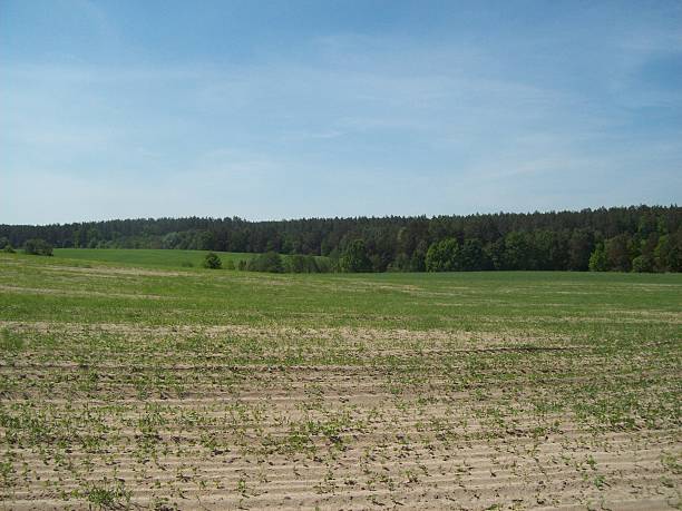 istock Rural landscape and farmland 537250432