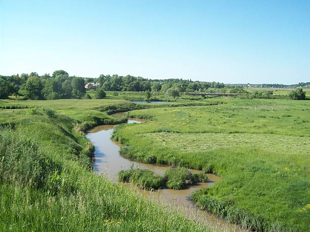 istock Rural landscape and farmland 537250946