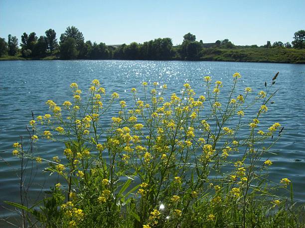 istock Rural landscape and farmland 537252000