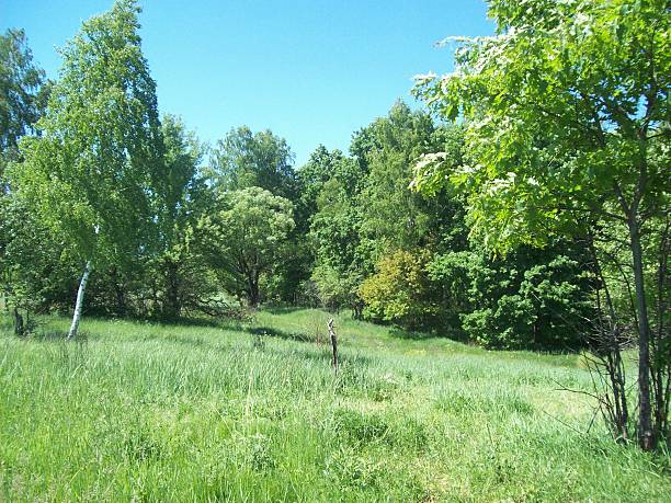 istock Rural landscape and farmland 537252480