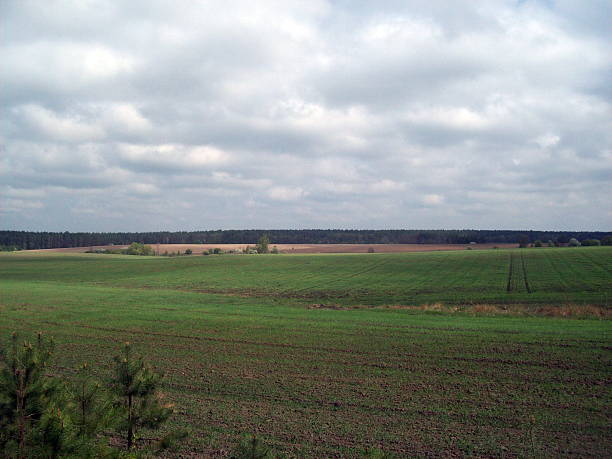 istock Rural landscape and farmland 537253994