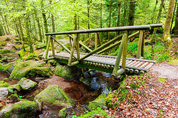 istock wooden bridge in a forest 537254470
