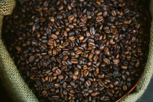 beautiful coffeebean blured for background.