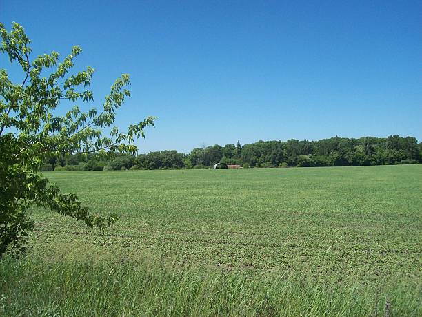 istock Rural landscape and farmland 537255178