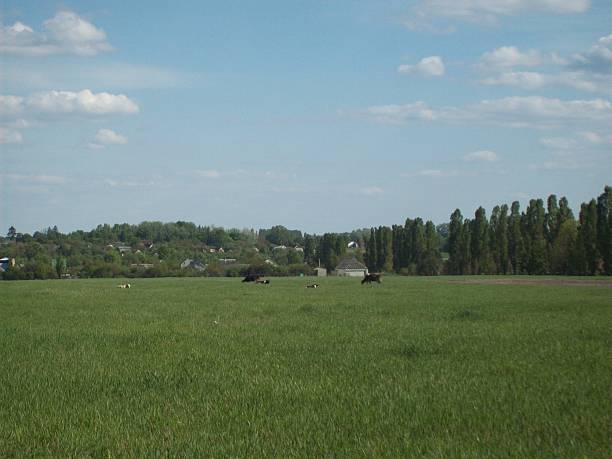 istock Rural landscape and farmland 537255362