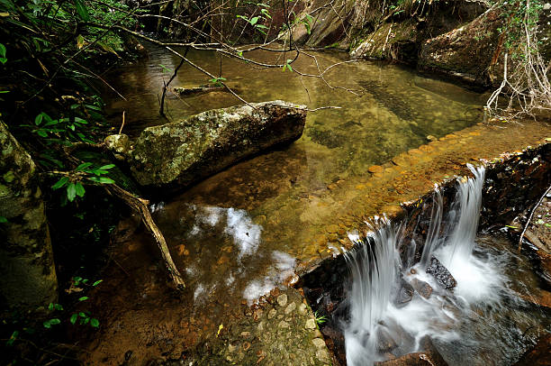 istock stream in Wuyishan Mountain,China 537256144