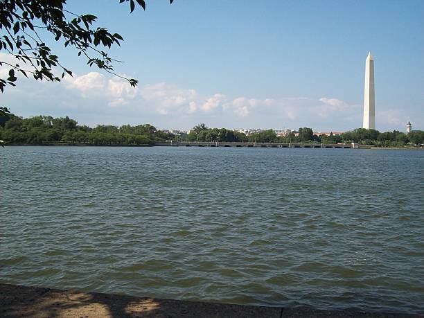 istock Travel to Washington D.C. 537260084