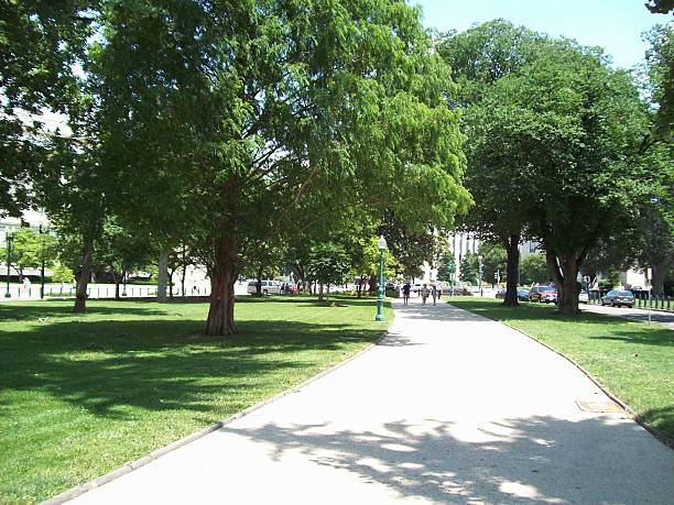 istock Travel to Washington D.C. 537260690