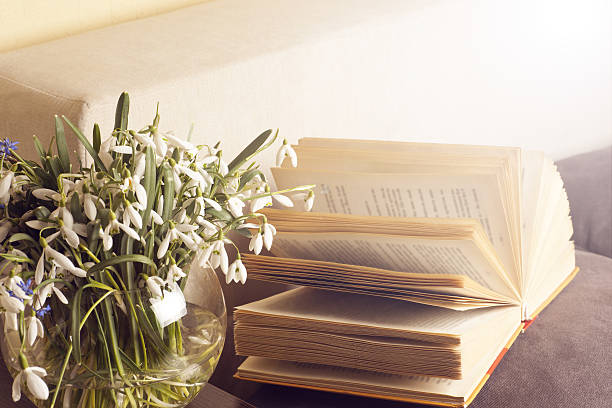 istock Open book on a pillow in bed. homeliness. 537267958