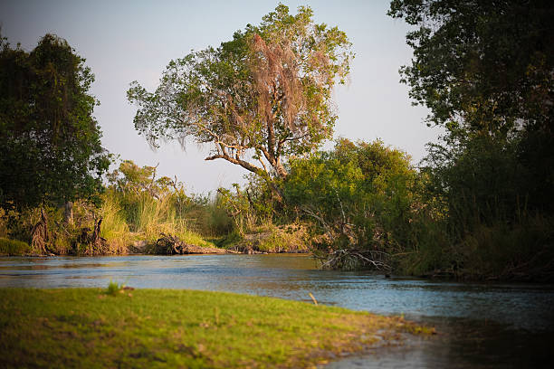 istock Victoria waterfall and Zambezi river 537267972