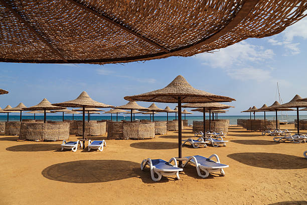 istock Rows of lounge chair  and awning on the beach 537268524