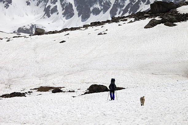 istock Hiker and dog in snowy mountains at spring 537268930