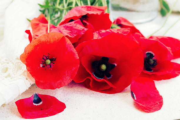 istock red poppy flowers 537269573
