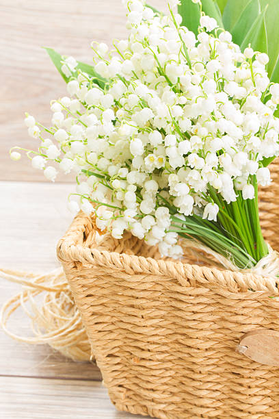istock lilly of the valley bouquet 537269601
