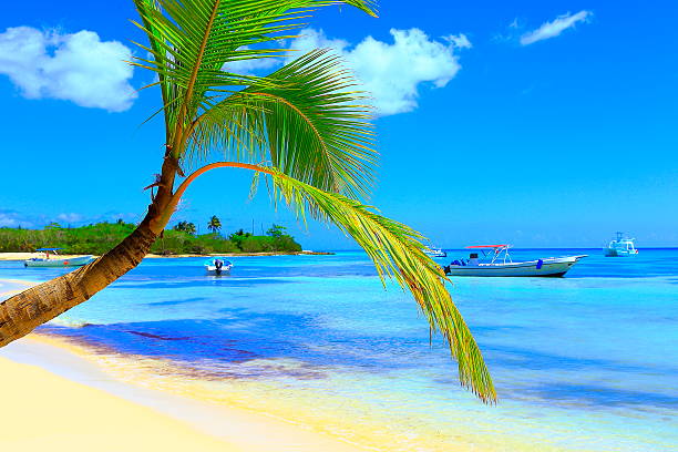 You can see my collection of photos of stunning Island of Aruba and Mexico (Cancun & Riviera Maya) stunning Beaches and culture, sunrises, sunsets, and much others!!) in the following link below: 