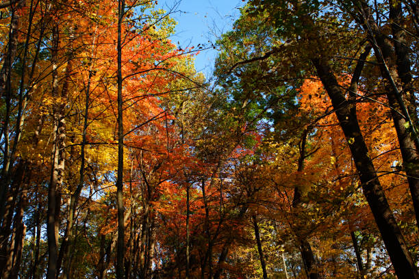 istock Colorful scenic Landscape in HDR in soft focus 537273359