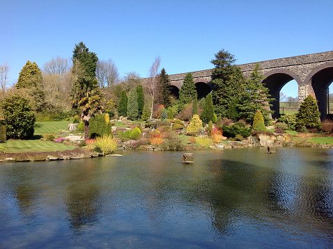 Photo showing a large pond with a rockery / rock garden planted with dwarf conifers and flowers, on the far side of the water.   The evergreen shrubs and dwarf conifers can be seen reflecting on the water's surface.