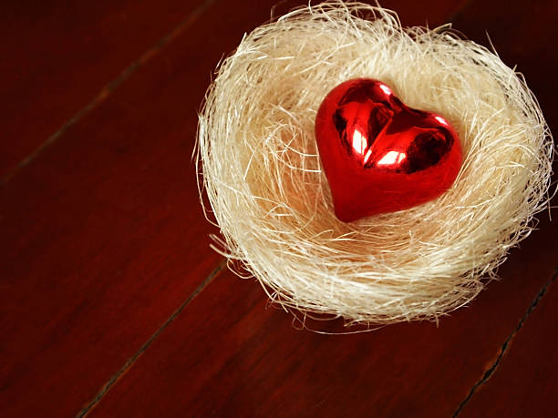 valentine heart in nest stock photo