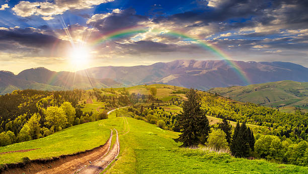 istock road through the meadow on hillside at sunset 537274691