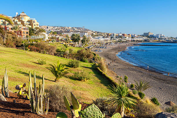 Costa Adeje. Tenerife, Canary Islands, Spain stock photo