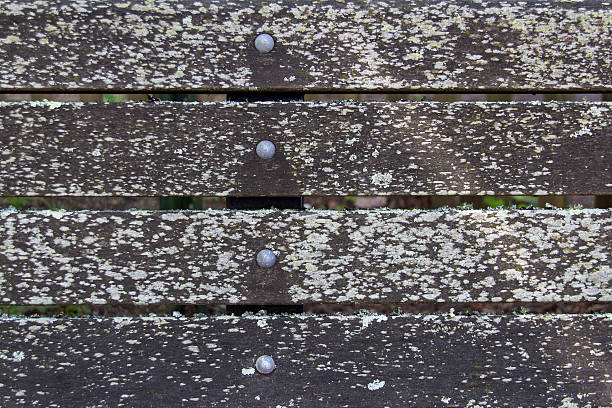 Back boards of an old park bench with lichen growning on them for a nice texture.