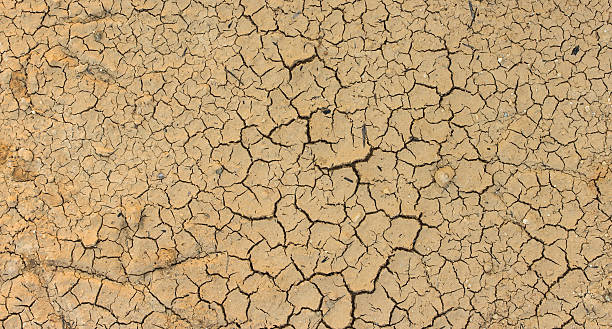 istock Closeup of dry soil texture 537282378