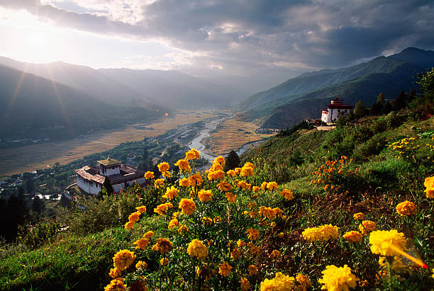 Himalayan Kingdom of Bhutan Paro valley bhutan stock pictures, royalty-free photos & images
