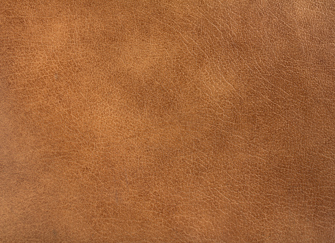 Leather Background Pictures | Download Free Images on Unsplash