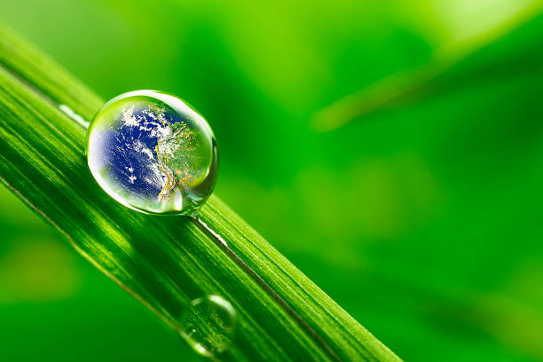 istock leaf with rain droplets - Recovery earth concept 537287605
